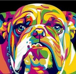 Abstract Bulldog Paint by numbers