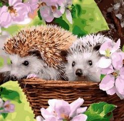 Adorable Hedgehog Paint by numbers