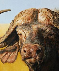 African Buffalo Paint by numbers