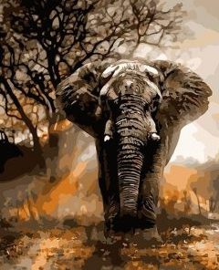 African Elephant Paint by numbers