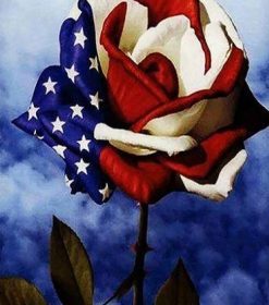 American Flag Rose Paint By Numbers