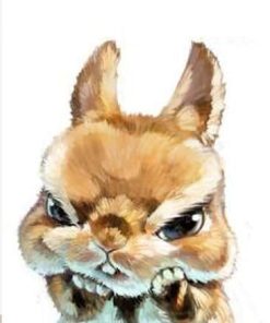 Angry Rabbit Paint by numbers