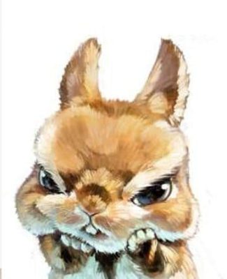 Angry Rabbit Paint by numbers