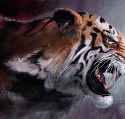 Angry Tiger Paint by numbers