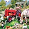 Animals in Farm Paint by numbers