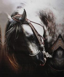 Arabic Horse Paint by numbers