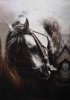 Arabic Horse Paint by numbers