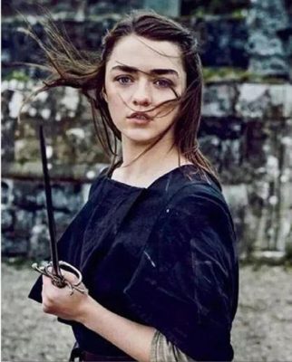 Arya Stark Paint by numbers