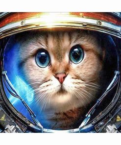Astronaut Cat Paint by numbers