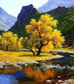 Autumn Nature Paint By Numbers