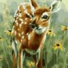 Baby Deer Paint by numbers