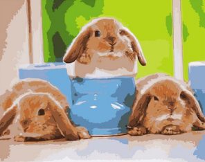 Baby Rabbits Paint by numbers