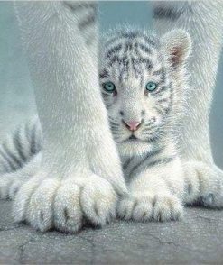 Baby White Tiger Paint By Numbers