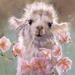 Baby llama Paint by numbers