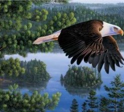 Bald Eagle Paint by numbers