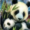 Bamboo Panda Paint By Numbers