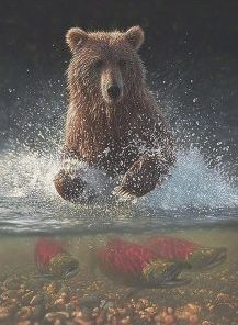 Bear Catching Fish Paint By Numbers
