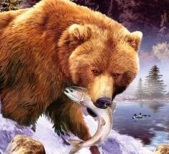 Bear Eating Fish Paint By Numbers