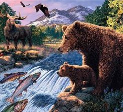 Bear Wildlife Paint By Numbers