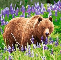 Bear in Lavender Paint By Numbers
