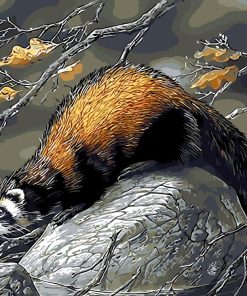 Beaver Animals Paint By Numbers