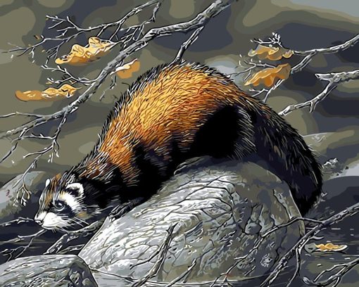 Beaver Animals Paint By Numbers