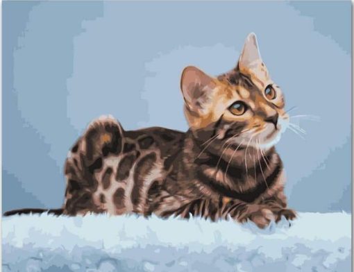 Bengal Cat Paint By Numbers