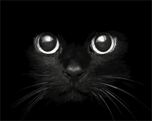 Big Eyes Cat Paint By Numbers