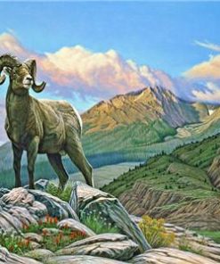Bighorn Sheep Paint By Numbers