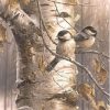 Bird Birch Paint By Numbers