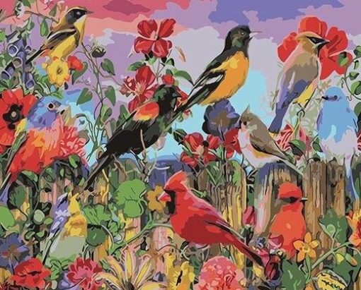 Birds at Garden Paint by numbers