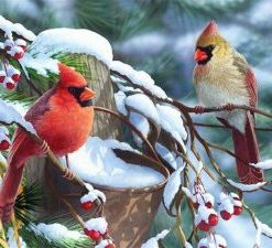 Birds in Winter Paint By Numbers