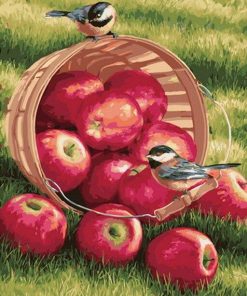 Birds on Apple Basket Paint By Numbers