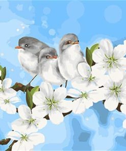 Birds with Flowers Paint By Numbers