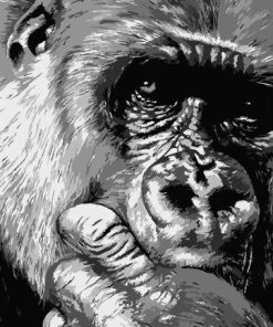 Black And White Chimpanzee Paint By Numbers