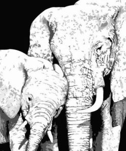 Black And White Elephants Paint By Numbers
