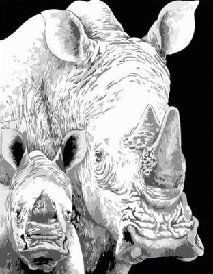 Black And White Rhino Paint By Numbers