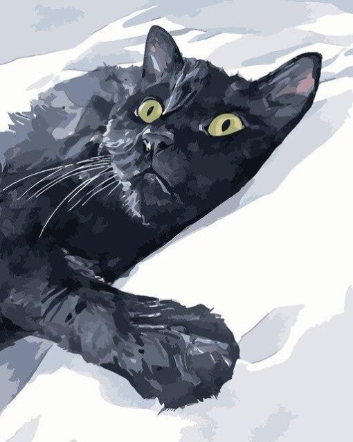 Black Cat In Snow Paint By Numbers