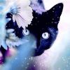 Black Cat in Flowers Paint By Numbers
