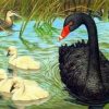 Black Duck Paint By Numbers