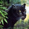 Black Leopard Paint By Numbers