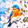 Blue Birds Flower Paint By Numbers