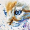 Blue Eyes Cat Paint By Numbers