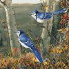 Blue Jay On Tree Paint By Numbers