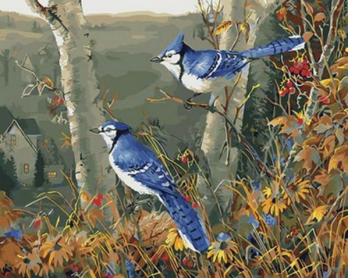 Blue Jay On Tree Paint By Numbers
