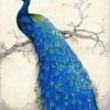 Blue Peacock Paint By Numbers