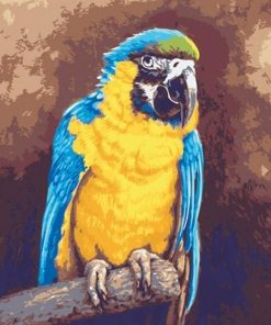 Blue and Gold Macaw Paint By Numbers