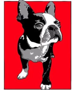 Boston Terrier Dog Paint By Numbers