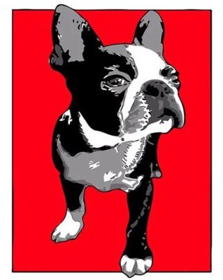 Boston Terrier Dog Paint By Numbers