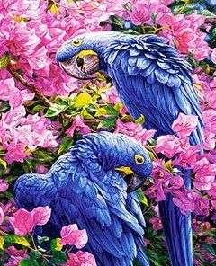 Bougainvillea Parrots Paint By Numbers